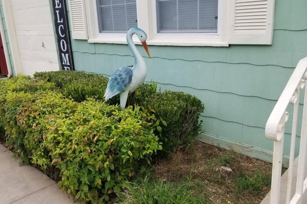 Blue Flamingo'S Charming Home-Heart Of Tulsa2- Cherry St-Expo-11Th المظهر الخارجي الصورة